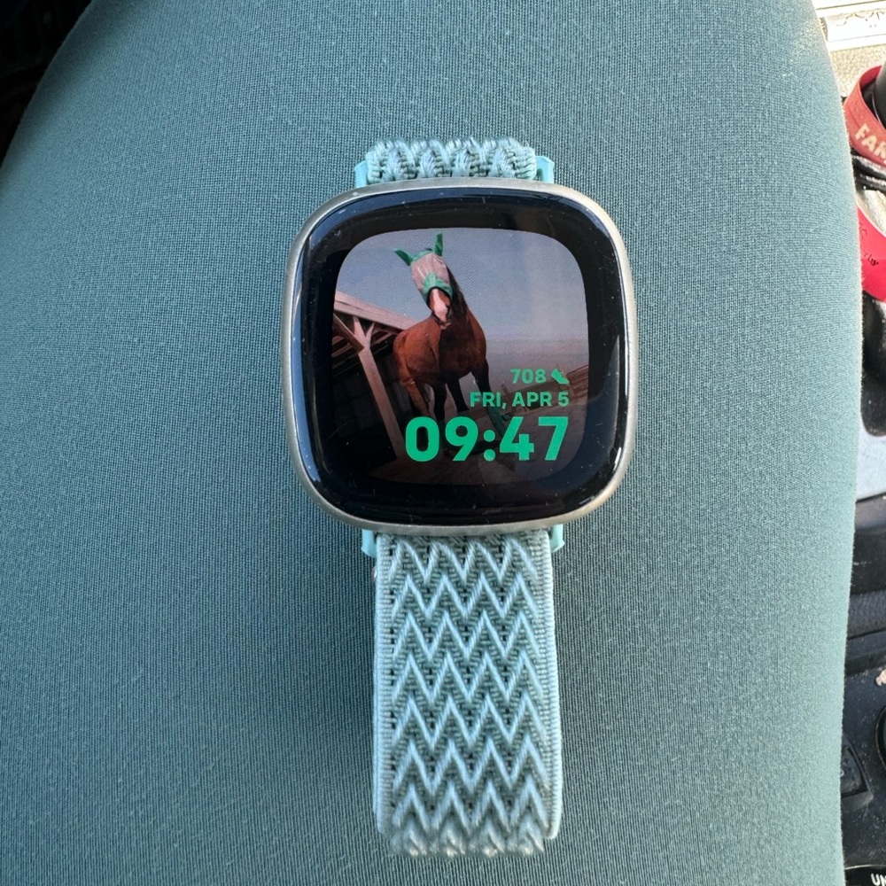 Fitbit Versa 3